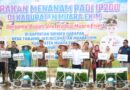 Bupati Muara Enim Resmikan Program Pupuk Terjangkau dan Penanaman Padi IP200 Bersama Forkopimda